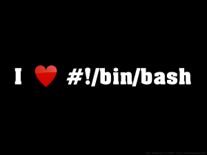 i-love-bin-bash_by-kzkggaara
